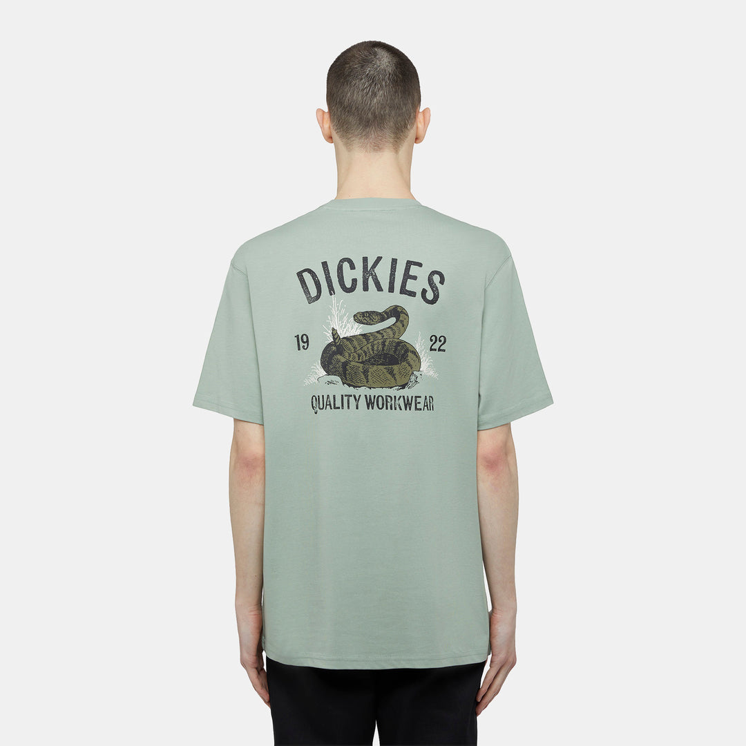 DICKIES | DICKIES SNAKE SS TEE | חולצה קצרה ירוק גברים וי .אפ ישראל (אפראל) בע"מ