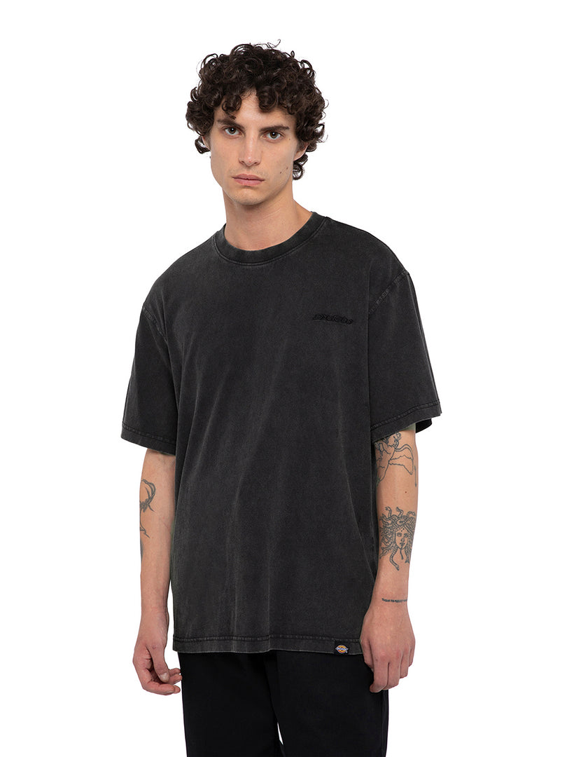 DICKIES | PLENTYWOOD TEE SS | חולצה קצרה גברים וי .אפ ישראל (אפראל) בע"מ