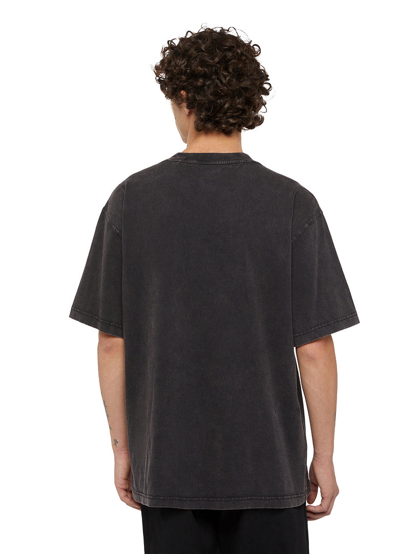 DICKIES | PLENTYWOOD TEE SS | חולצה קצרה גברים וי .אפ ישראל (אפראל) בע"מ
