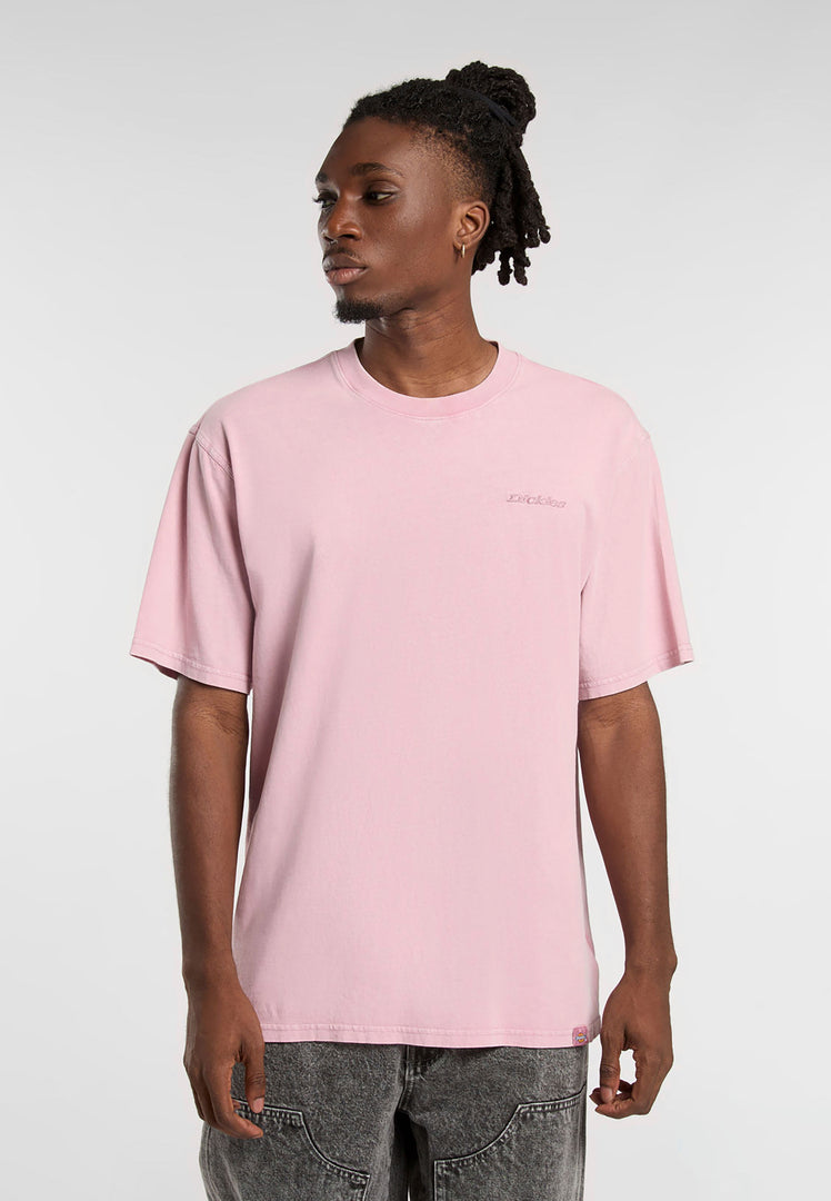 DICKIES | PLENTYWOOD TEE SS | חולצה קצרה גברים וי .אפ ישראל (אפראל) בע"מ