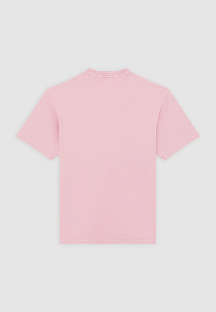 DICKIES | PLENTYWOOD TEE SS | חולצה קצרה גברים וי .אפ ישראל (אפראל) בע"מ