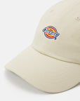 DICKIES | HARDWICK | כובע וי .אפ ישראל (אפראל) בע"מ
