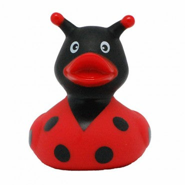 Lilalu ducks | ברווזי גומי חיפושית שוקה שלום בע"מ