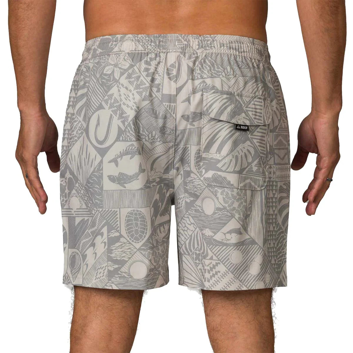 REEF | 3FMWH0955 STN Moore E-Waist Swimshort | מכנס גלישה REEF