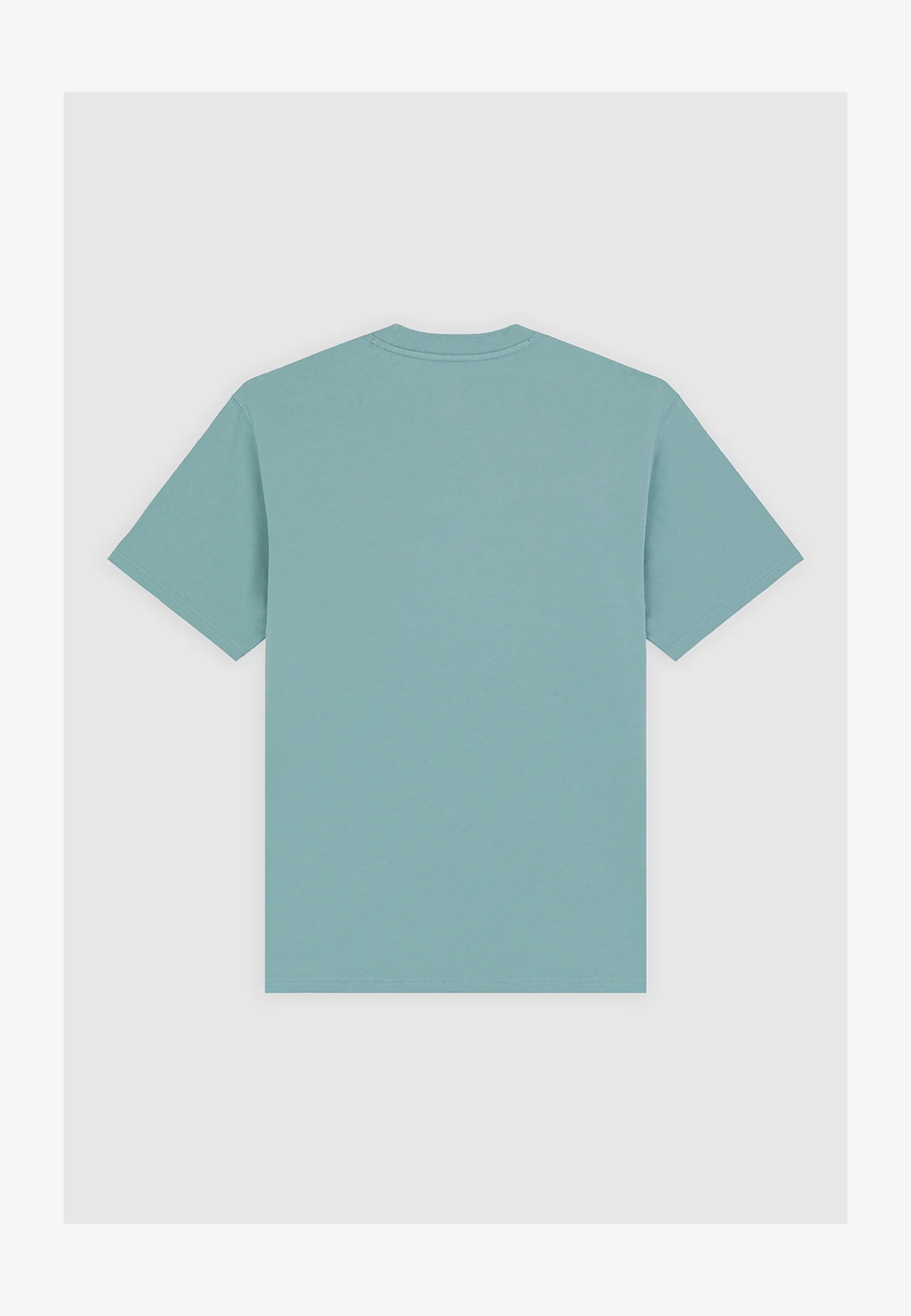 DICKIES | SUMMERDALE SS TEE | חולצה קצרה תכלת וי .אפ ישראל (אפראל) בע"מ