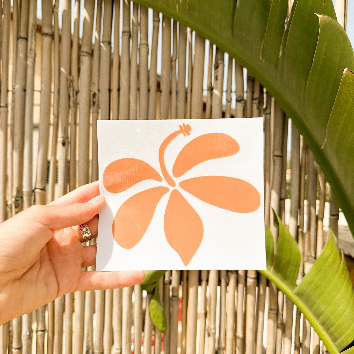 MEDITO | Sea-Proof Vinyl Sticker | מדבקה לגלשן Sea Bloom MEDITO