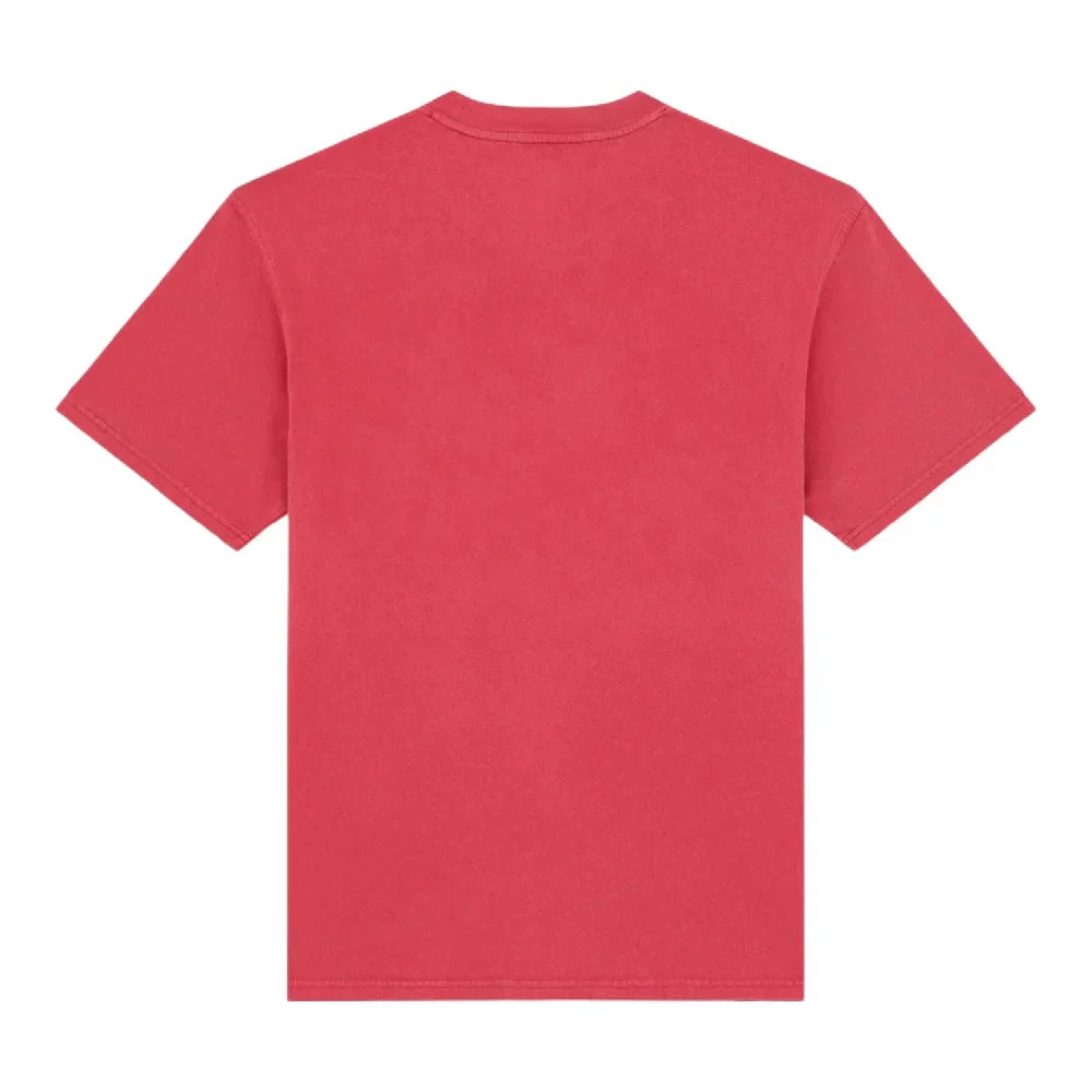 DICKIES | PLENTYWOOD TEE SS | חולצה קצרה וי .אפ ישראל (אפראל) בע"מ