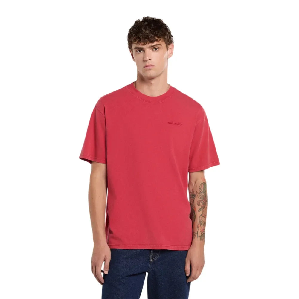 DICKIES | PLENTYWOOD TEE SS | חולצה קצרה וי .אפ ישראל (אפראל) בע"מ
