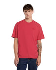 DICKIES | PLENTYWOOD TEE SS | חולצה קצרה וי .אפ ישראל (אפראל) בע"מ