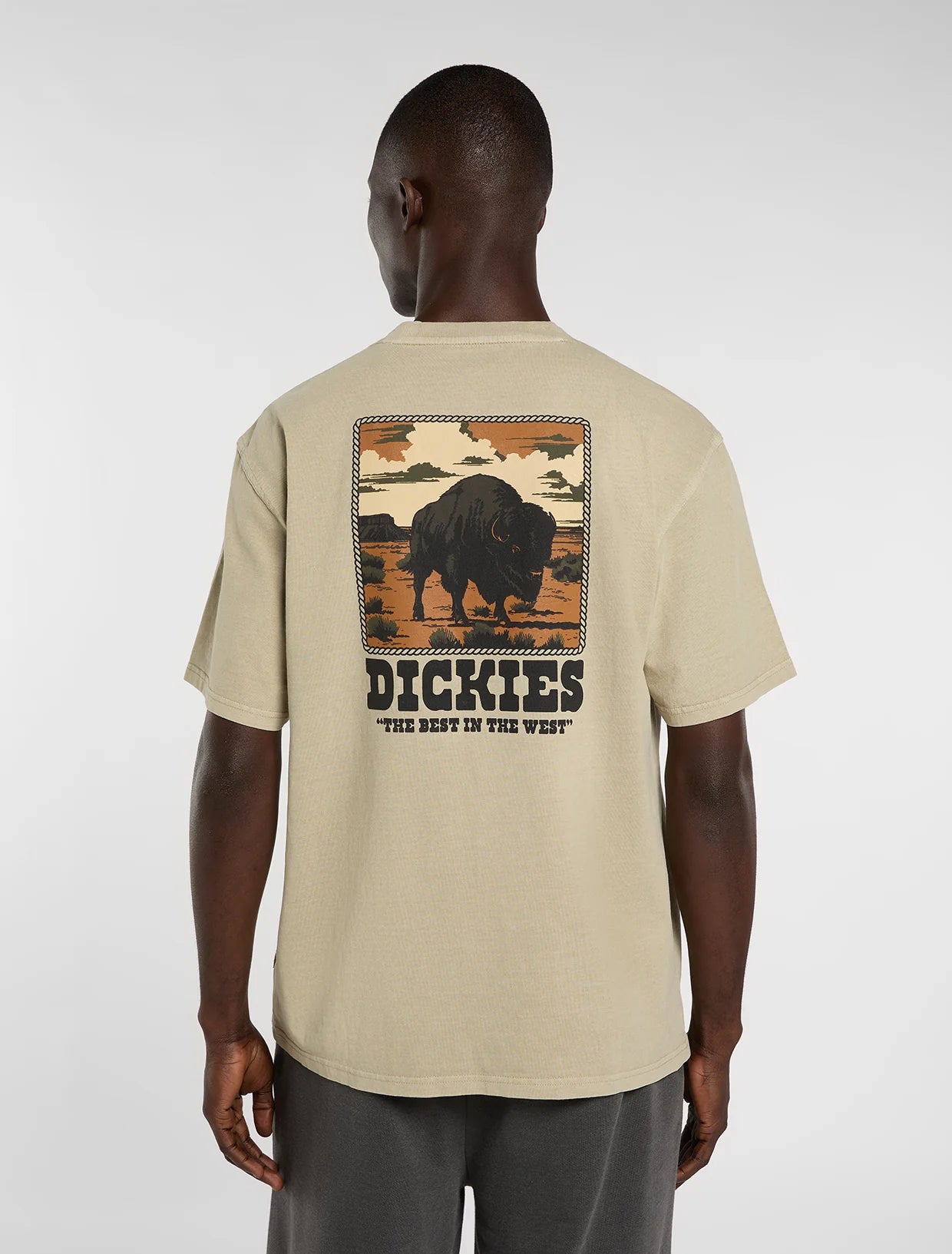 DICKIES | DARRTOWN SS TEE | חולצה קצרה גברים וי .אפ ישראל (אפראל) בע"מ