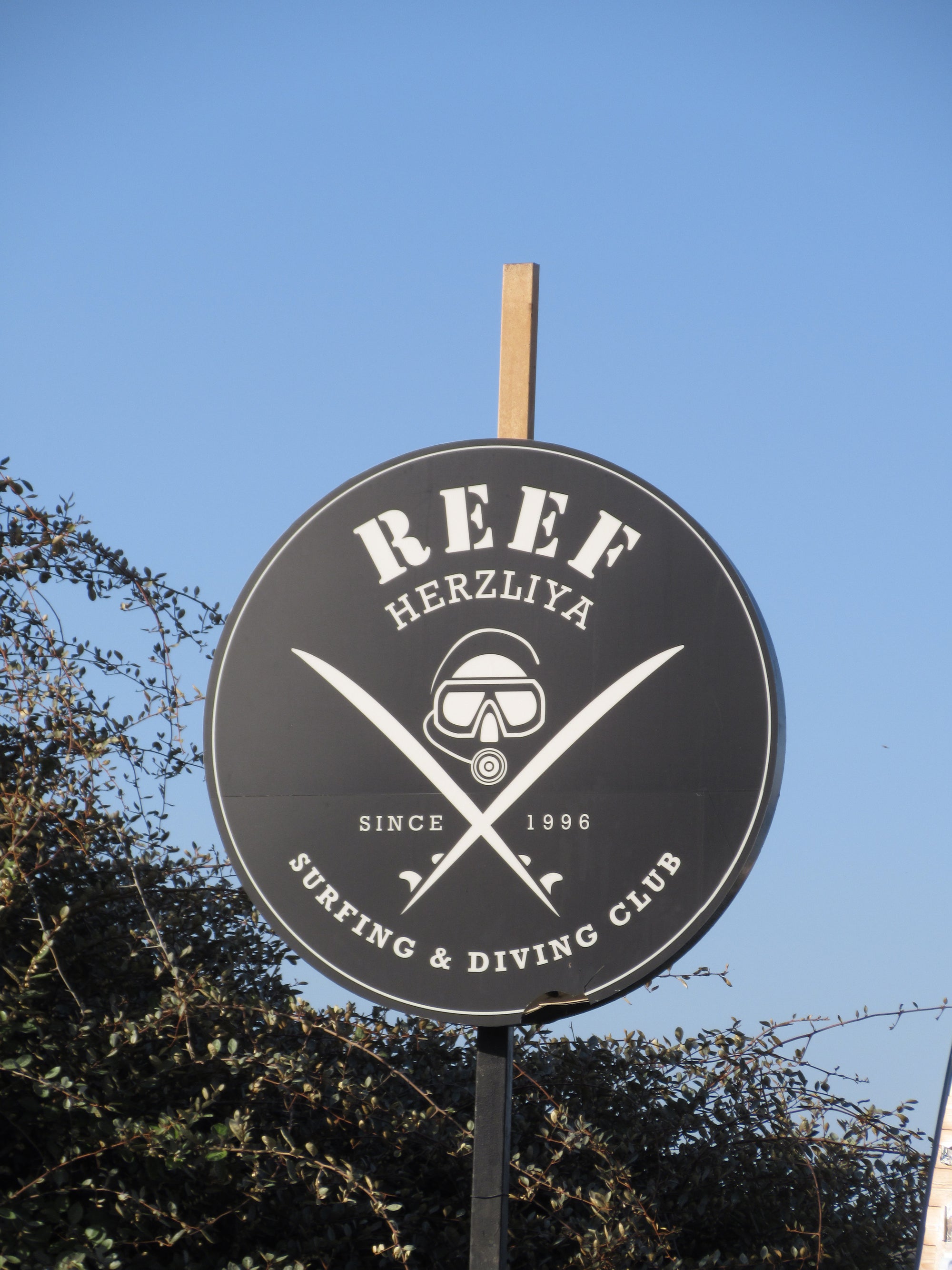 שדרוג לחליפת עמותה - א' Reef Sea Center