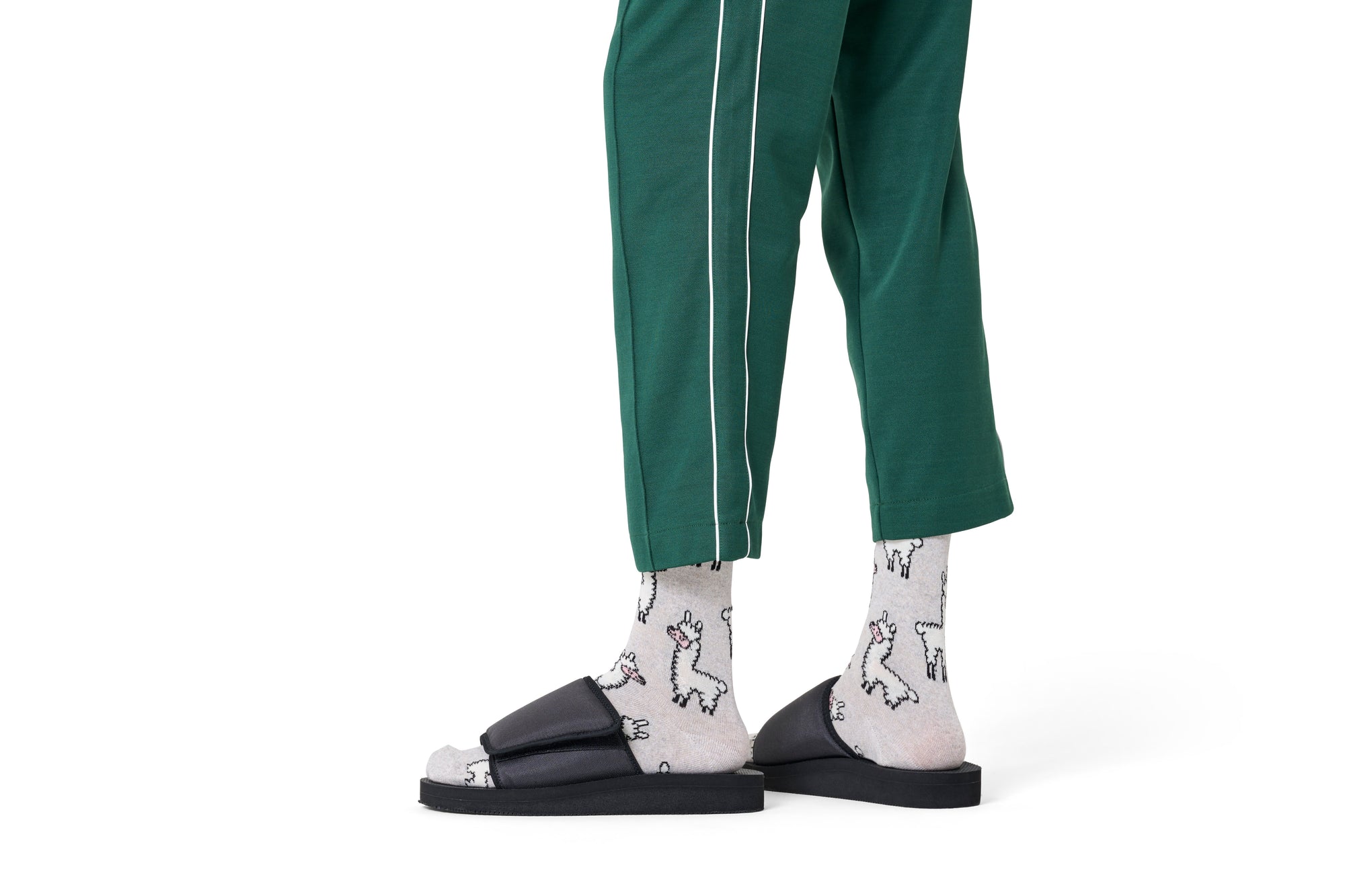 HAPPY SOCKS | LLAMA SOCK | האפי סוקס זוג גרביים לאמה 911