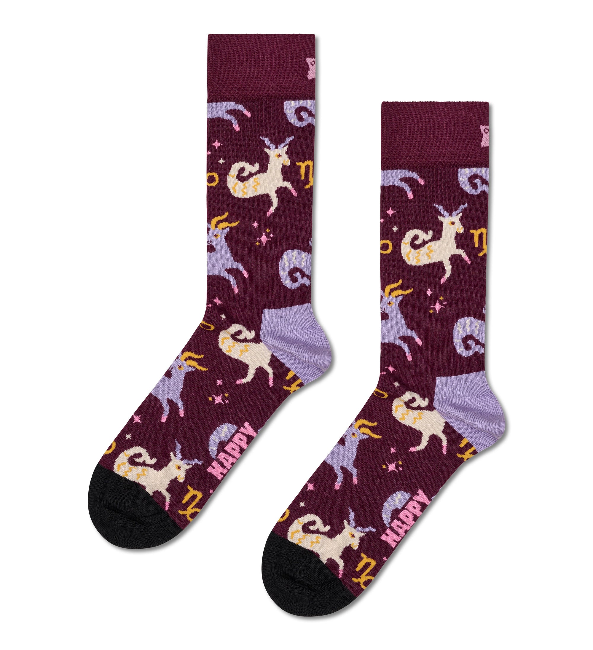 HAPPY SOCKS | CAPRICORN SOCK | האפי סוקס זוג גרביים מזל גדי 911