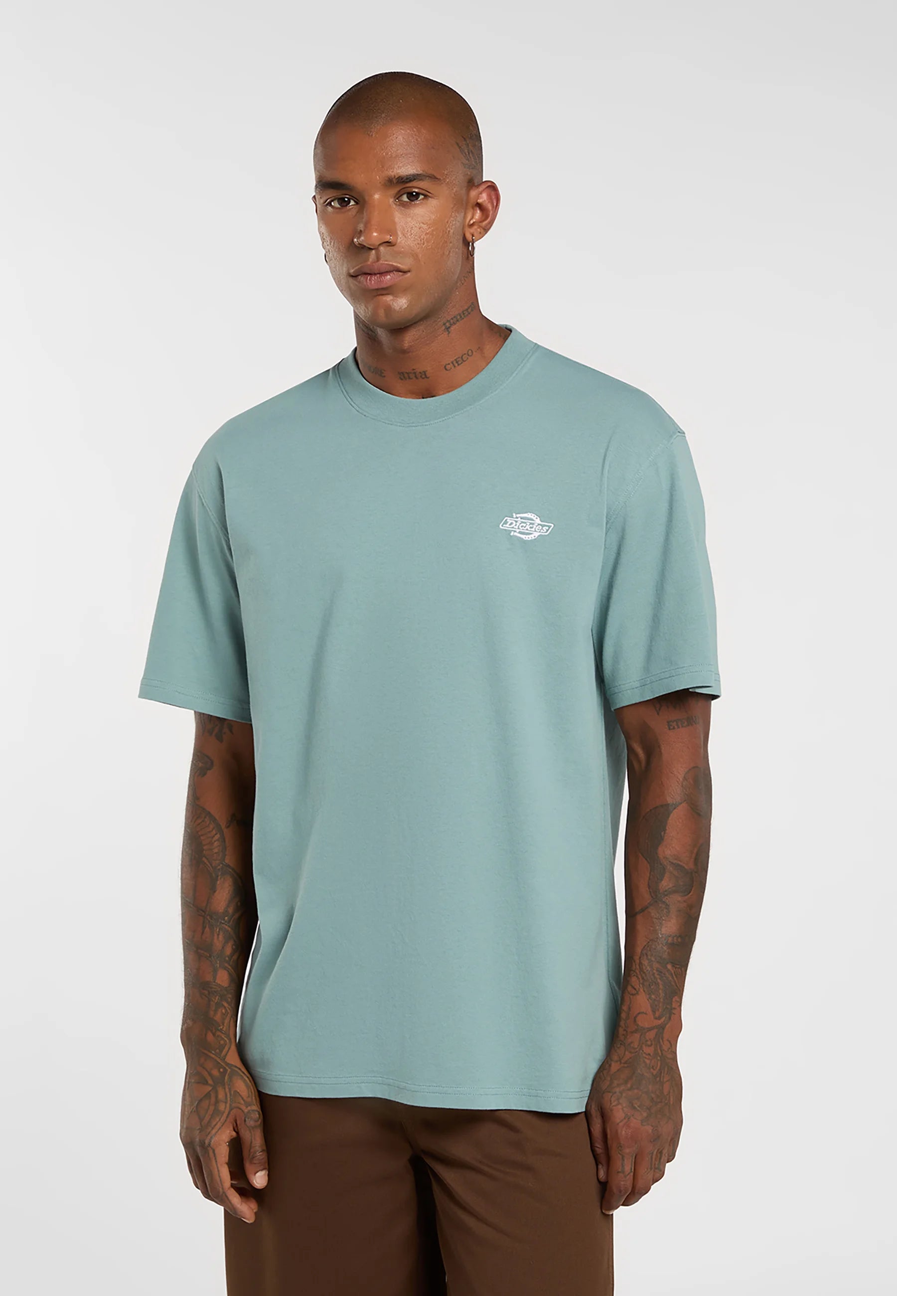 DICKIES | SUMMERDALE SS TEE | חולצה קצרה תכלת וי .אפ ישראל (אפראל) בע"מ