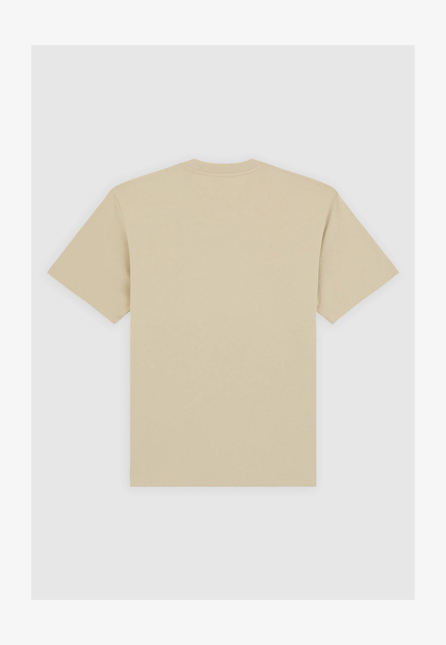 DICKIES | SUMMERDALE SS TEE | חולצה קצרה בז וי .אפ ישראל (אפראל) בע"מ