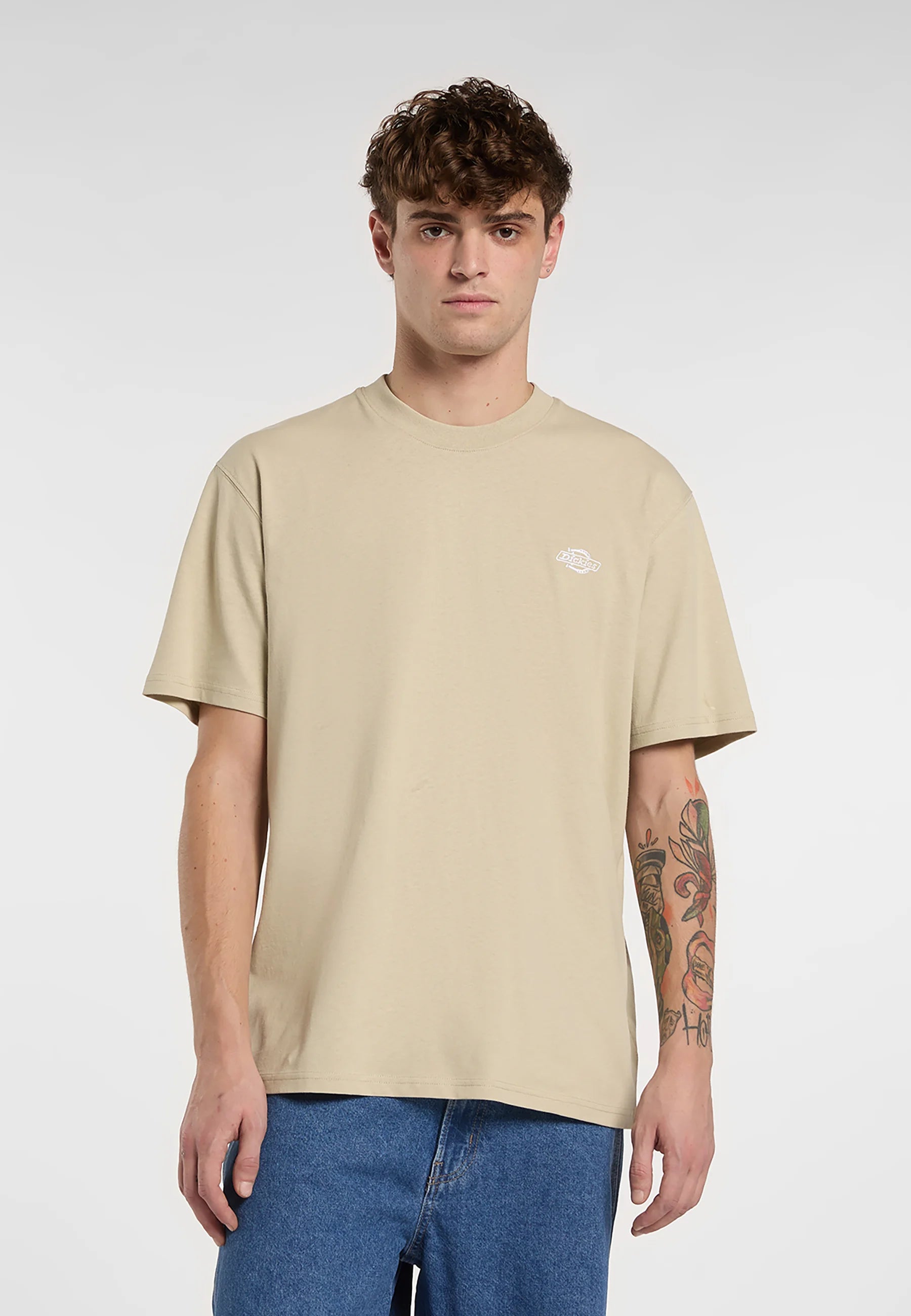 DICKIES | SUMMERDALE SS TEE | חולצה קצרה בז וי .אפ ישראל (אפראל) בע"מ