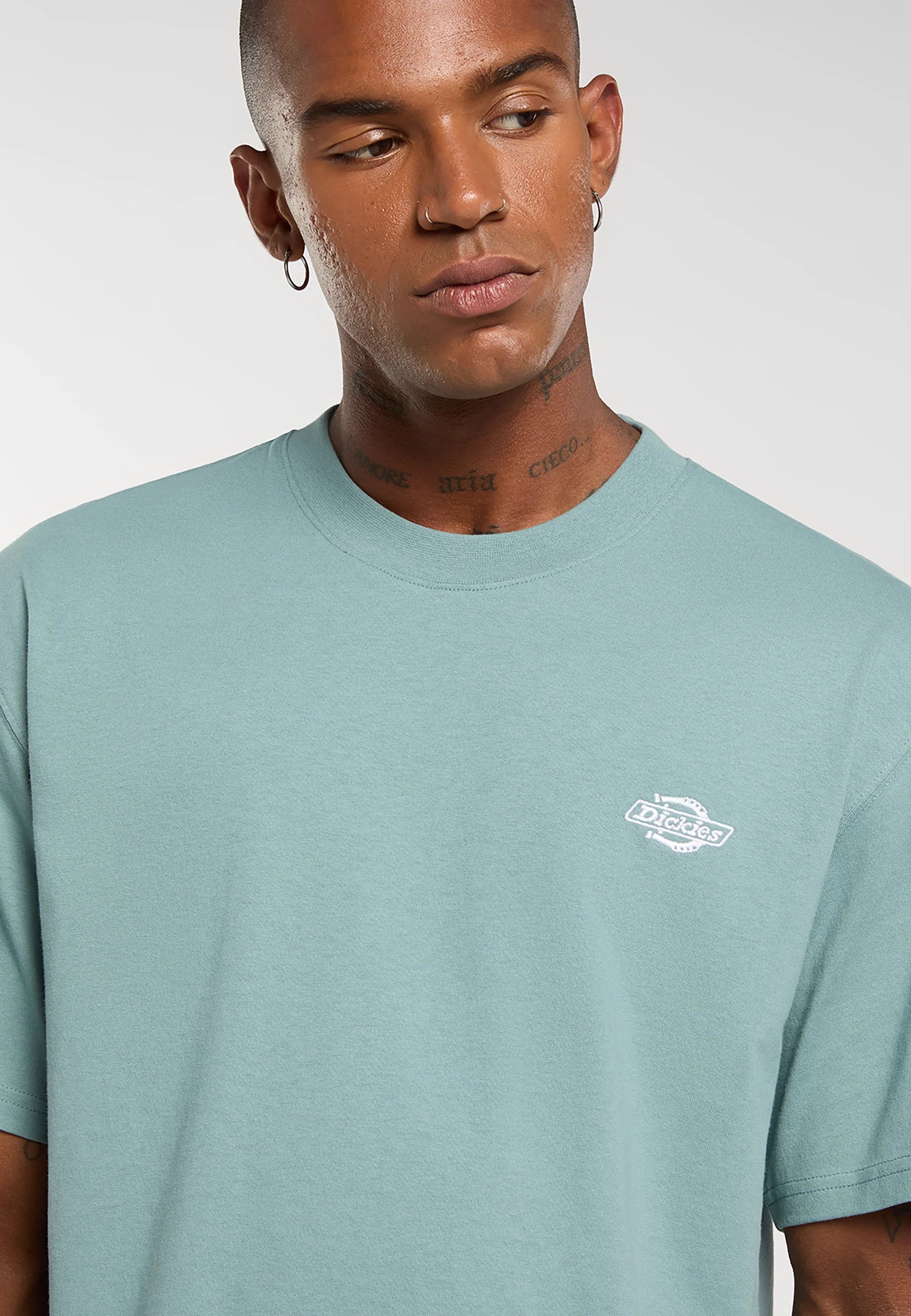 DICKIES | SUMMERDALE SS TEE | חולצה קצרה תכלת וי .אפ ישראל (אפראל) בע"מ